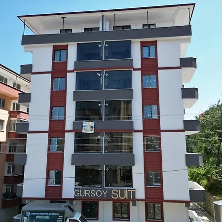 Gursoy